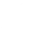 IP protection icon