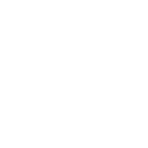 high-security standards icon