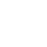 development icon